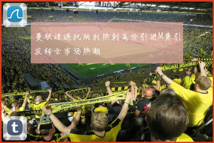 曼联追逐托纳利热刺高价引进M费引发转会市场热潮